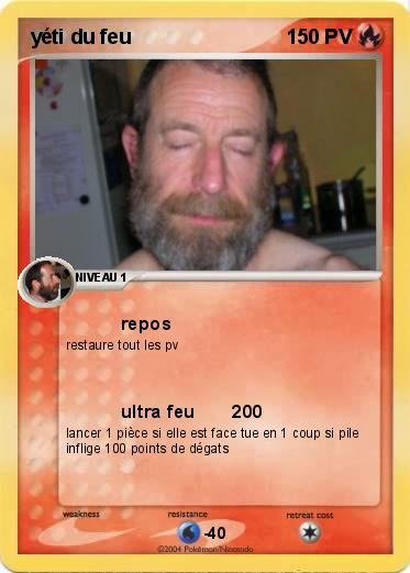Pokemon yéti du feu                            