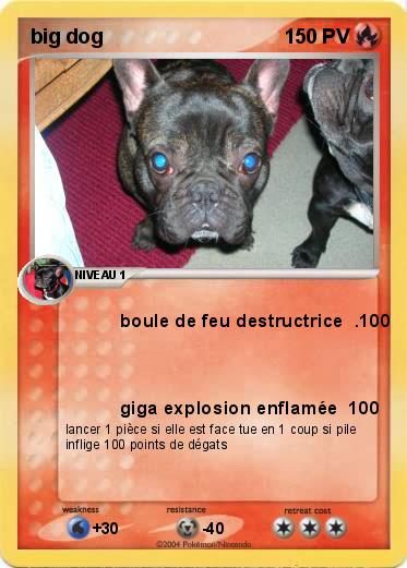 Pokemon big dog                                           