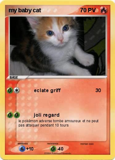 Pokemon my baby cat