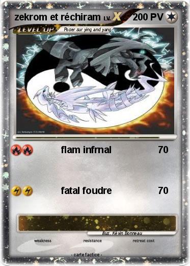 Pokemon zekrom et réchiram