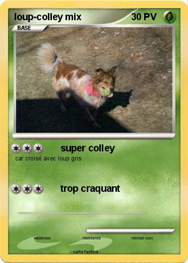 Pokemon loup-colley mix