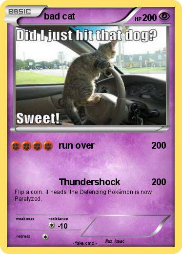 Pokemon bad cat
