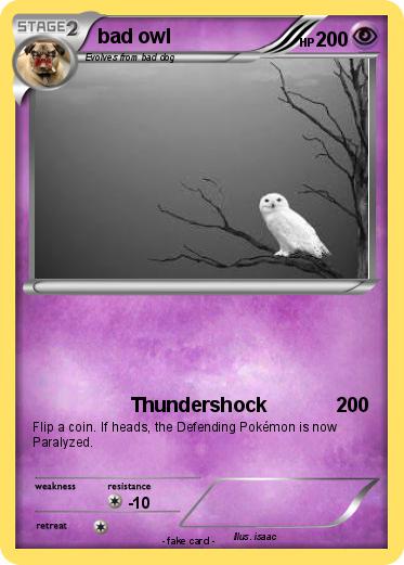 Pokemon bad owl