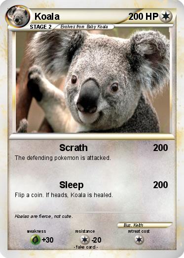 Pokemon Koala