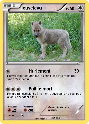 Pokemon louveteau