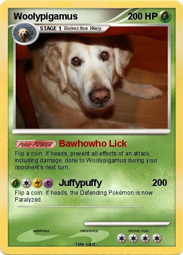 Pokemon Woolypigamus