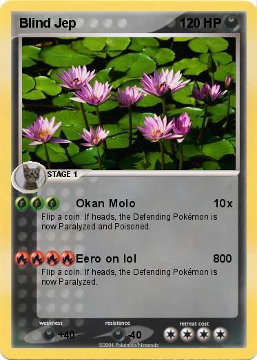 Pokemon Blind Jep