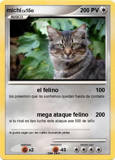Pokemon michi