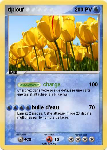 Pokemon tiplouf