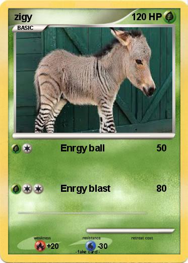 Pokemon zigy