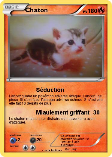 Pokemon Chaton