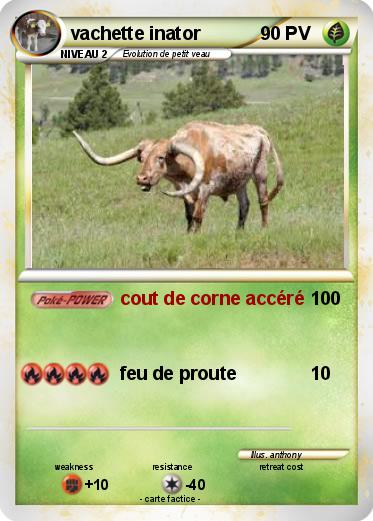 Pokemon vachette inator