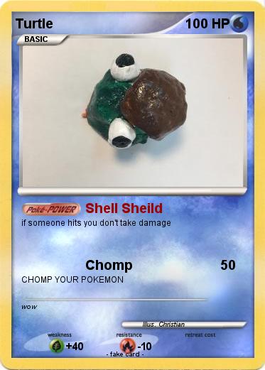 Pokemon Turtle