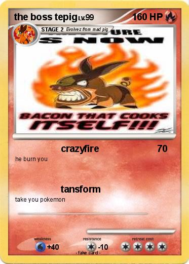 Pokemon the boss tepig