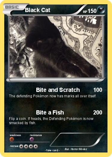 Pokemon Black Cat
