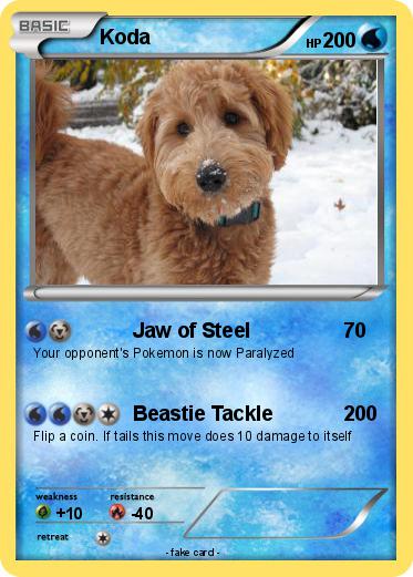 Pokemon Koda