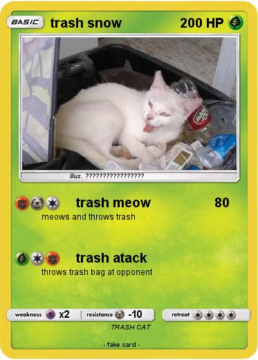 Pokemon trash snow