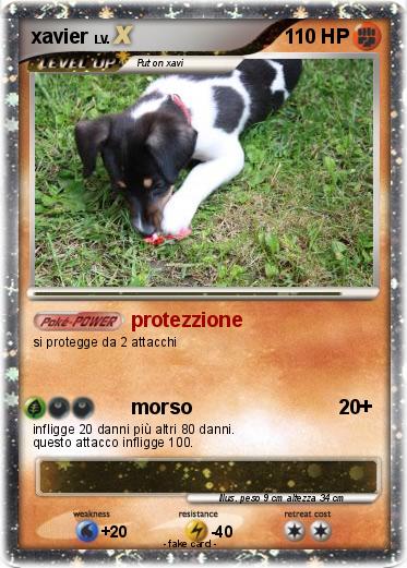 Pokemon xavier