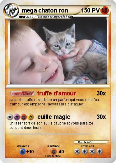 Pokemon mega chaton ron