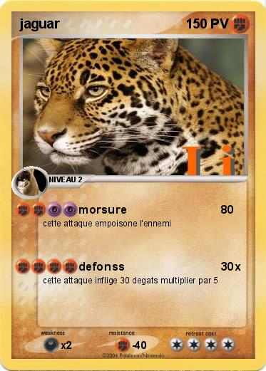 Pokemon jaguar