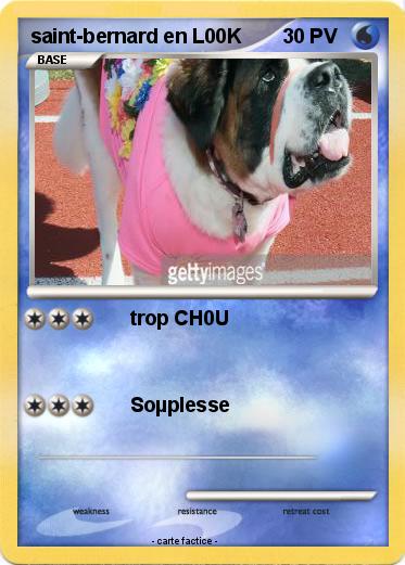 Pokemon saint-bernard en L00K