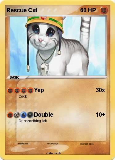 Pokemon Rescue Cat