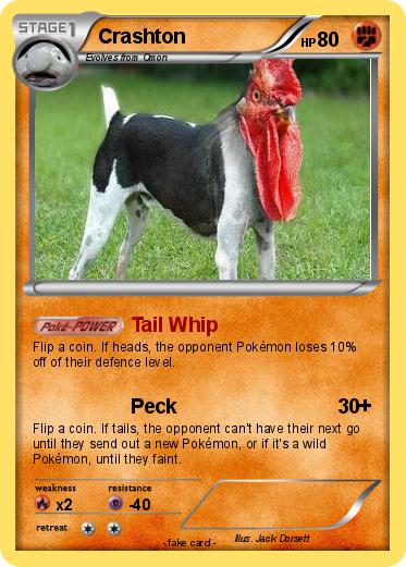 Pokemon Crashton