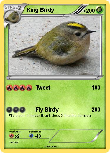 Pokemon King Birdy