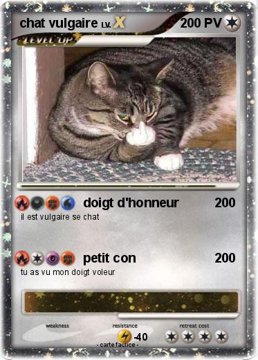 Pokemon chat vulgaire