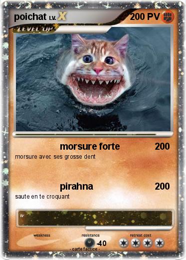 Pokemon poichat