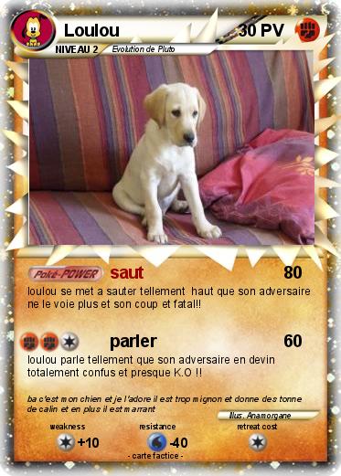 Pokemon Loulou