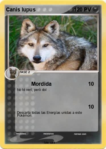 Pokemon Canis lupus