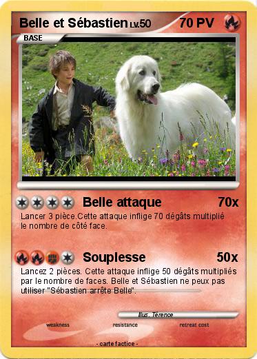 Pokemon Belle et Sébastien