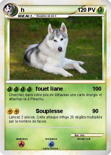 Pokemon h
