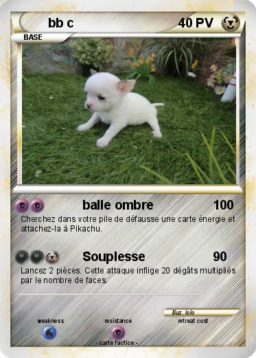 Pokemon bb c