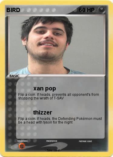 Pokemon BIRD