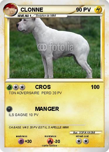 Pokemon CLONNE