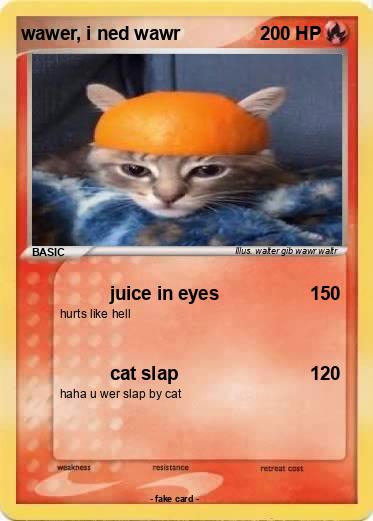 Pokemon wawer, i ned wawr