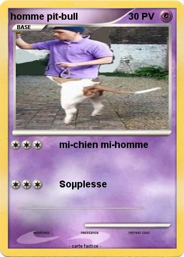 Pokemon homme pit-bull