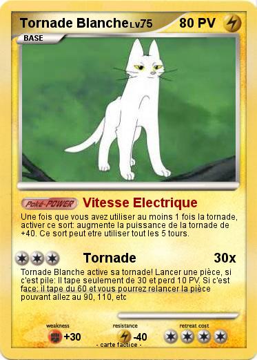Pokemon Tornade Blanche