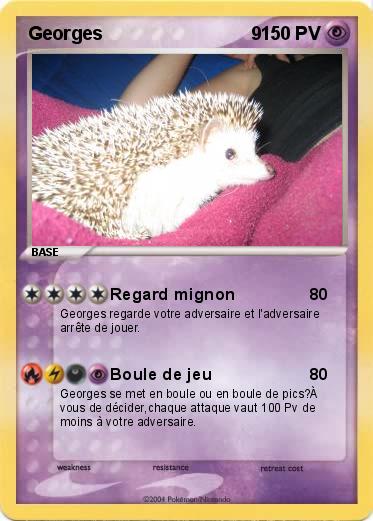 Pokemon Georges                             9
