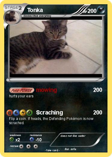 Pokemon Tonka