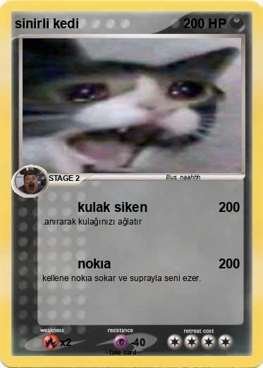 Pokemon sinirli kedi