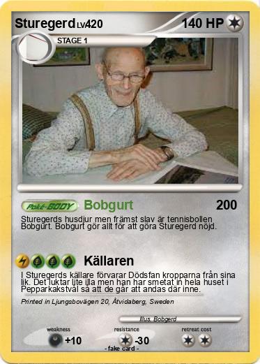 Pokemon Sturegerd