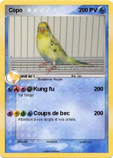 Pokemon Copo