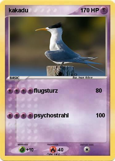 Pokemon kakadu