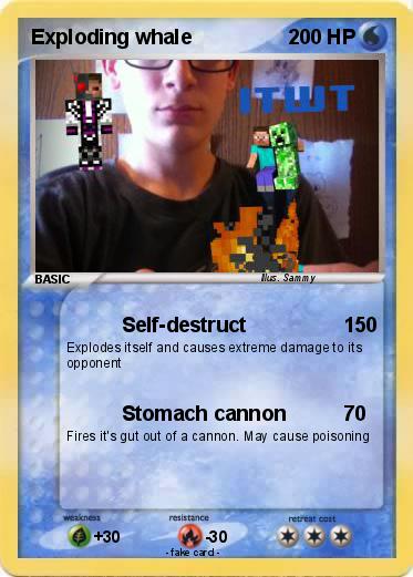 Pokemon Exploding whale