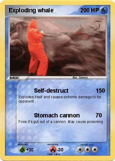 Pokemon Exploding whale