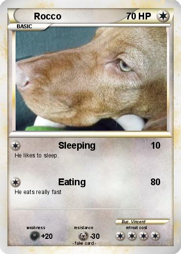 Pokemon Rocco