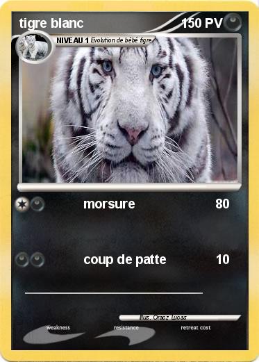 Pokemon tigre blanc